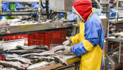 <b><b>商户接入“互联网+明厨亮灶”</b></b>